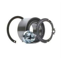 Wheel Bearing Kit RIDEX 654W0162 OE Ref 77 01 207 676[WB]