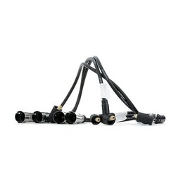 Ignition Cable Kit RIDEX 685I0138 OE Ref N100502.02