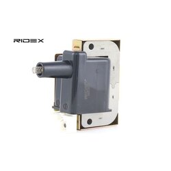 Ignition Coil RIDEX 689C0038 OE Ref 30500PTZ005
