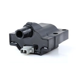 Ignition Coil RIDEX 689C0100 OE Ref 3341057B10000
