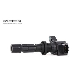 Ignition Coil RIDEX 689C0130 OE Ref L3G18100A