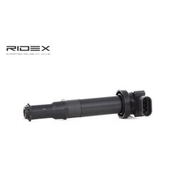 Ignition Coil RIDEX 689C0207 OE Ref 273013E100