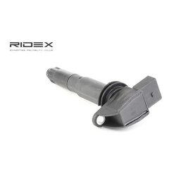 Ignition Coil RIDEX 689C0224 OE Ref 94860210401