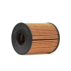 Oil Filter RIDEX 7O0042 OE Ref 71769641