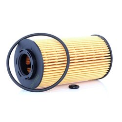 Oil Filter RIDEX 7O0091 OE Ref 263102A002