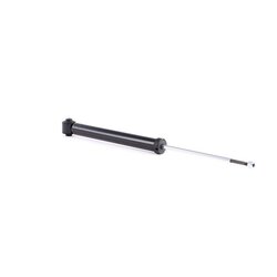 Shock Absorber RIDEX 854S0616 OE Ref 54531-01G210