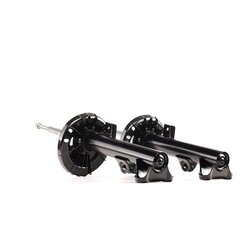 Shock Absorber RIDEX 854S1534 OE Ref 2033201630