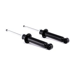 Shock Absorber RIDEX 854S1723 OE Ref 5202 PA