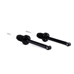 Shock Absorber RIDEX 854S1753 OE Ref 1016438