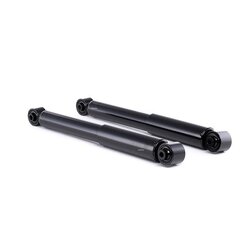 Shock Absorber RIDEX 854S1839 OE Ref E6210-BR04A-