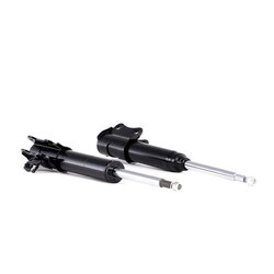 Shock Absorber RIDEX 854S2078