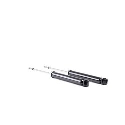 Shock Absorber RIDEX 854S2097 OE Ref 485300D180