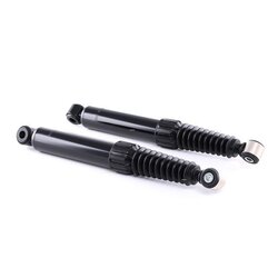 Shock Absorber RIDEX 854S2101 OE Ref 60 25 308 760