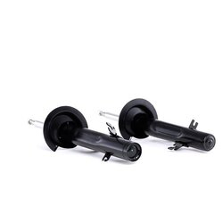 Shock Absorber RIDEX 854S2262 OE Ref 31 30 6 758 382