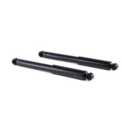 Shock Absorber RIDEX 854S2284 OE Ref 9013200731