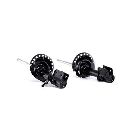 Shock Absorber RIDEX 854S2313 OE Ref 54302-9U025-