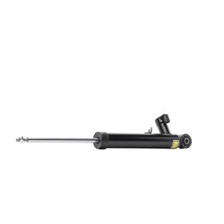 Shock Absorber RIDEX 854S2665 OE Ref 3C0513046D
