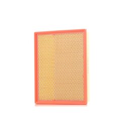 Air Filter RIDEX 8A0079 OE Ref 6040940004