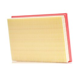 Air Filter RIDEX 8A0110 OE Ref 3521841