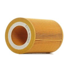 Air Filter RIDEX 8A0137 OE Ref PC1100