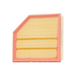 Air Filter RIDEX 8A0155 OE Ref 30636833