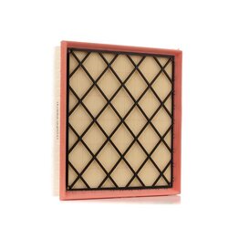 Air Filter RIDEX 8A0171 OE Ref 13272719