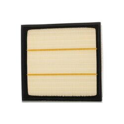 Air Filter RIDEX 8A0220 OE Ref 1729416