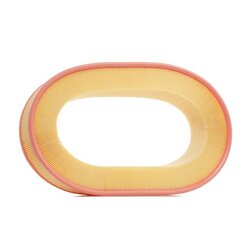 Air Filter RIDEX 8A0368 OE Ref 890X 9601 GA