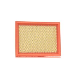 Air Filter RIDEX 8A0392 OE Ref 77660421