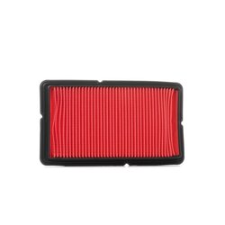 Air Filter RIDEX 8A0394 OE Ref 17220-P45-G00