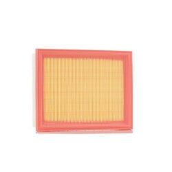 Air Filter RIDEX 8A0404 OE Ref 13727520855