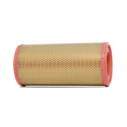 Air Filter RIDEX 8A0424 OE Ref 1849148
