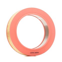 Air Filter RIDEX 8A0425 OE Ref 5009064