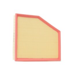 Air Filter RIDEX 8A0450 OE Ref 13717521037