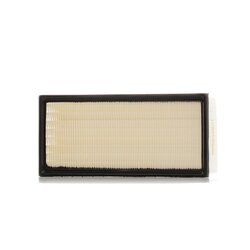 Air Filter RIDEX 8A0492 OE Ref 178010B020