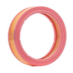 Air Filter RIDEX 8A0509 OE Ref 4048981