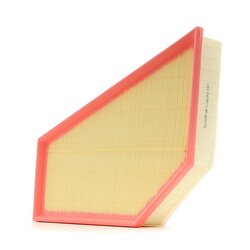 Air Filter RIDEX 8A0550 OE Ref 30741485