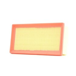Air Filter RIDEX 8A0553 OE Ref 96 747 255 80