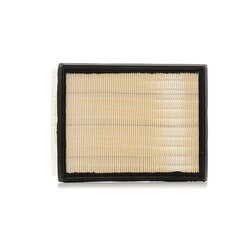 Air Filter RIDEX 8A0588 OE Ref 24438415