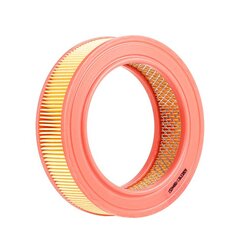 Air Filter RIDEX 8A0618 OE Ref 5018344