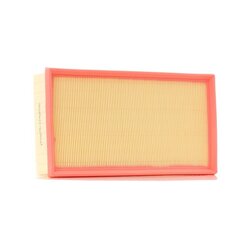 Air Filter RIDEX 8A0668 OE Ref 9800097580
