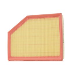 Air Filter RIDEX 8A0669 OE Ref 31368022