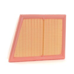 Air Filter RIDEX 8A0758 OE Ref 13718513944