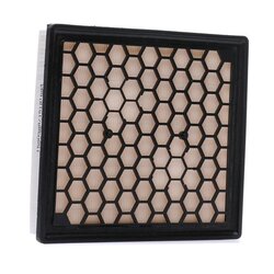 Air Filter RIDEX 8A0965 OE Ref 13296368