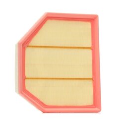 Air Filter RIDEX 8A1143 OE Ref 13727843283