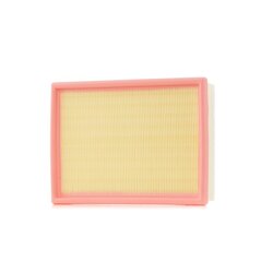 Air Filter RIDEX 8A1642 OE Ref 13 72 1 744 869