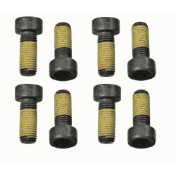 Flywheel Screw Set 1874000048 SACHS 1874 000 048 OE Ref 11227805708