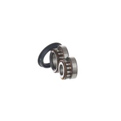 Wheel Bearing Kit VKBA530 SKF VKBA 530 OE Ref 116002140800 SKF