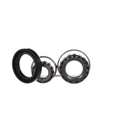 Wheel Bearing Kit VKBA539 SKF VKBA 539 OE Ref 119002140801 SKF