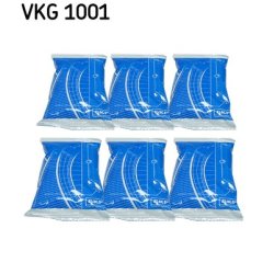Grease VKG1001 SKF VKG 1001